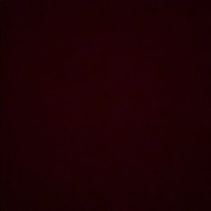 Meet your Posher, Jana